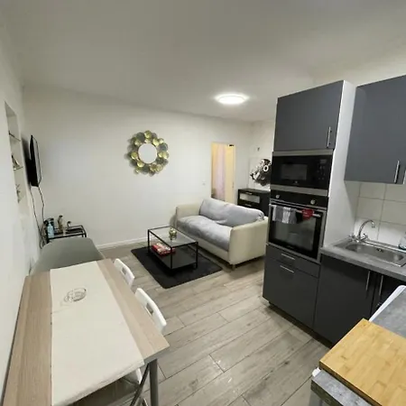 Et Salon Proche Centre Et Monuments Appartement